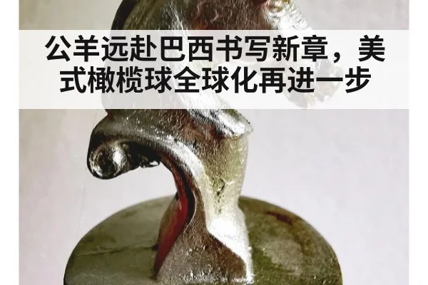 公羊远赴巴西书写新章，美式橄榄球全球化再进一步